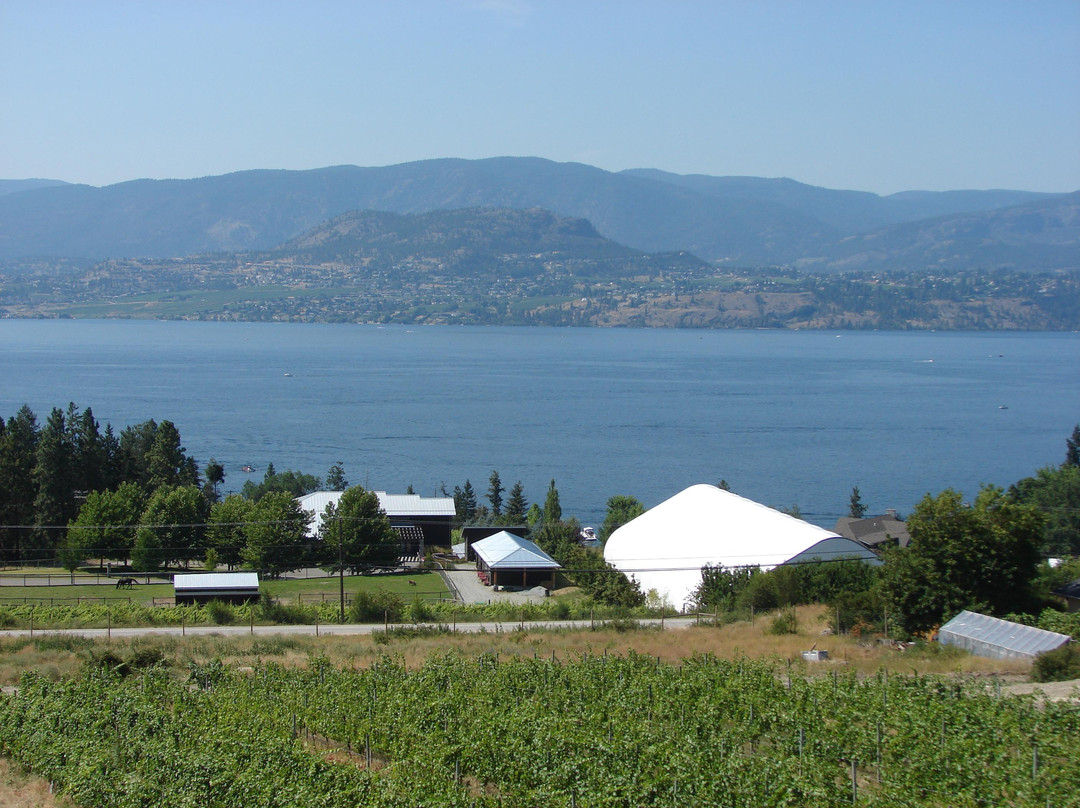 Summerhill Pyramid Winery景点图片
