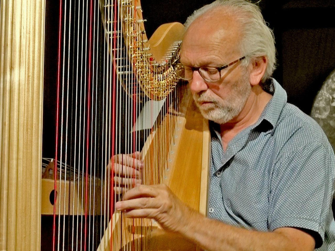 Luc Vanlaere Harpist - Mini Harp Museum景点图片