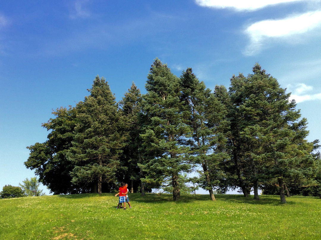 Lake Aquitaine Park-米西索加必去景点