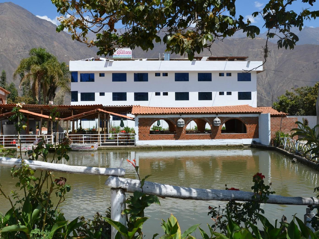 Caraz酒店住宿-La Capullana