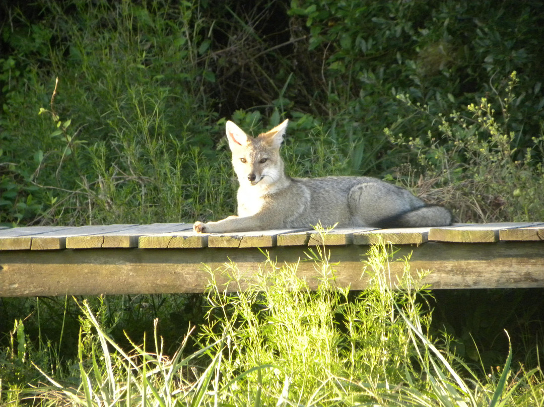 Indigena - Area Protegida de Flora y Fauna-Maldonado必去景点