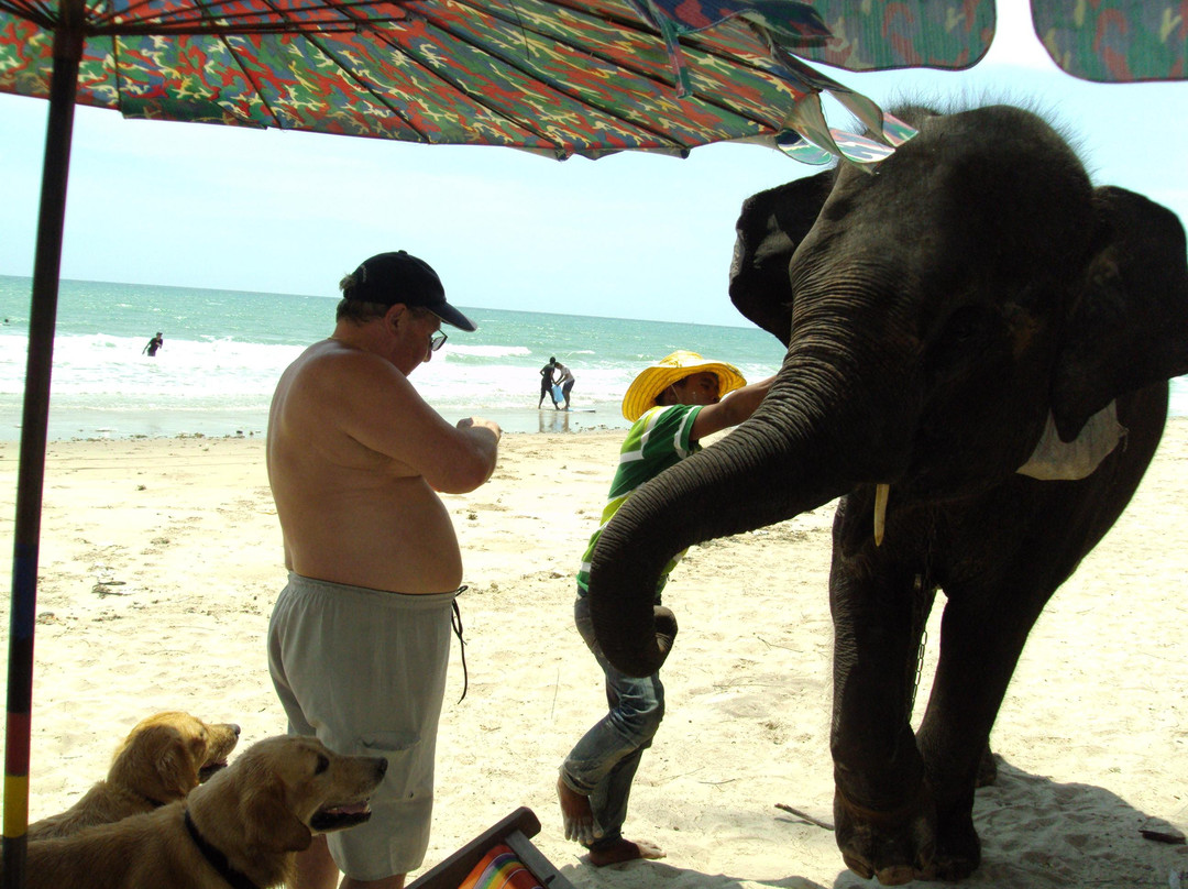 Mae Ram Phueng Beach-Phe必去景点