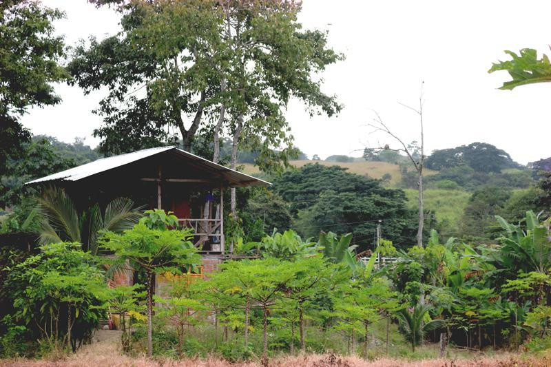 Finca Caracol景点图片
