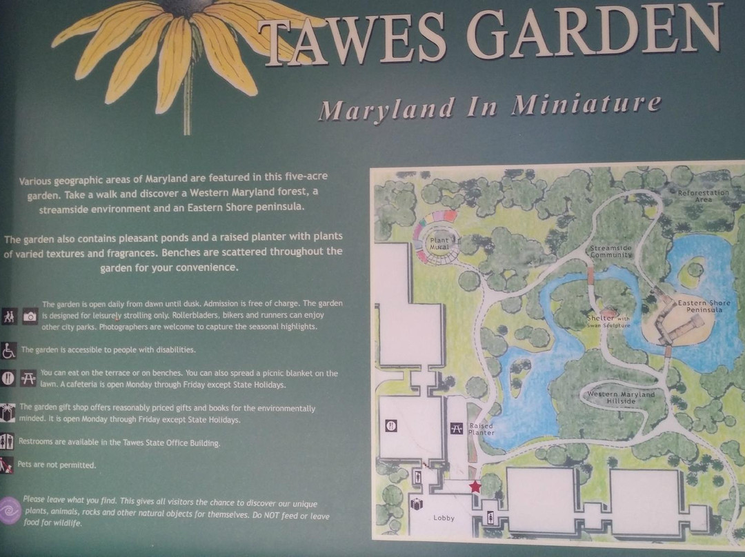 Helen Avalynne Tawes Garden-安纳波利斯必去景点