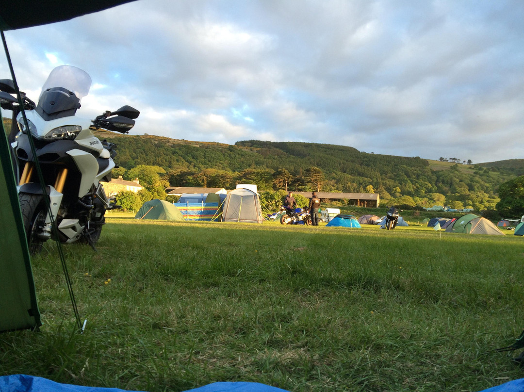 Silly Moos Campsite