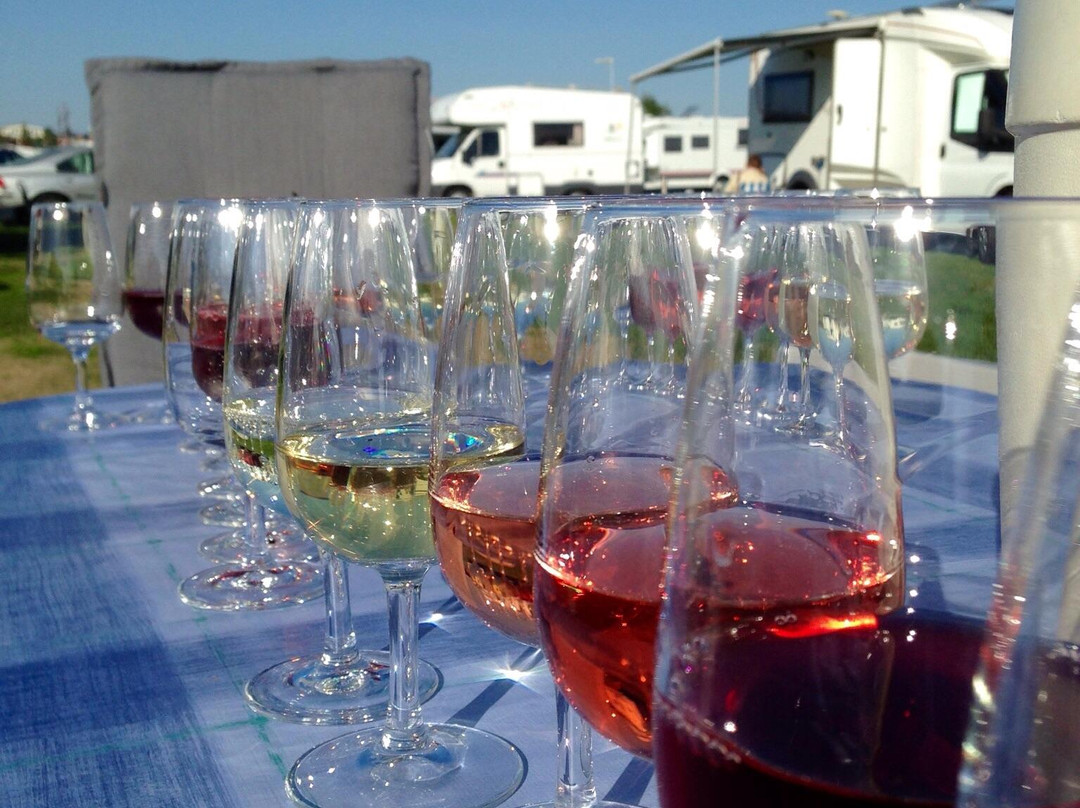 Vastra Kajen Camping & Gasthamn