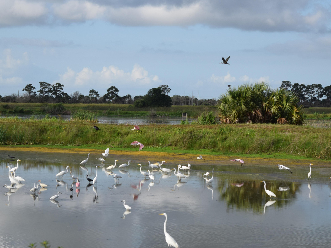 Indian River County wetlands-维罗海滩必去景点