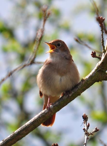 Essex Wildlife Trust Fingringhoe Wick Visitor Centre景点图片