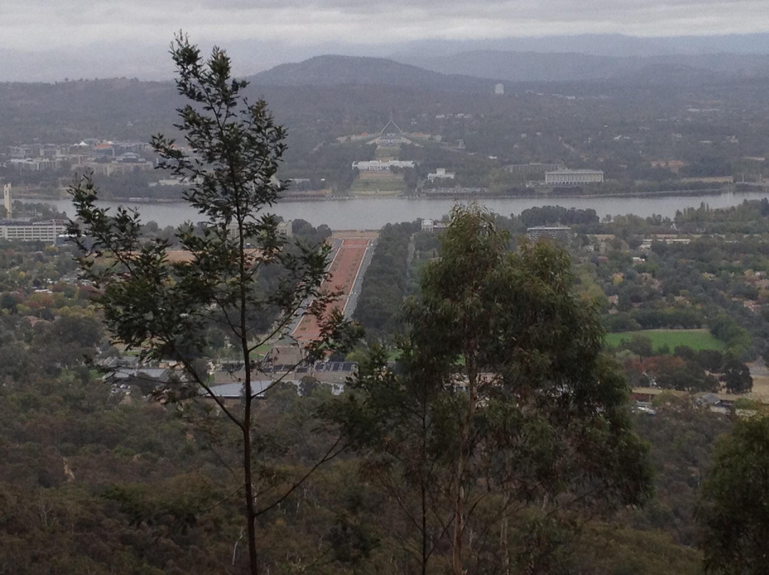 安斯利山瞭望台-堪培拉必去景点