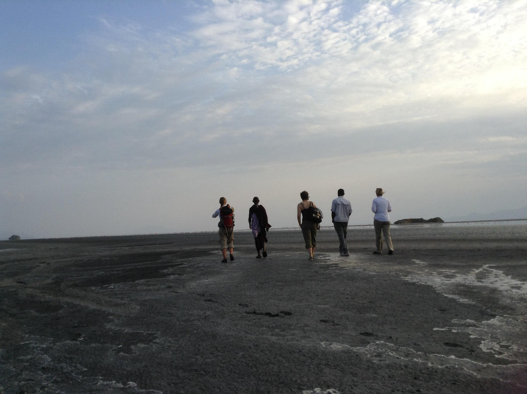 Afrishare Trekking and Safaris-莫西必去景点