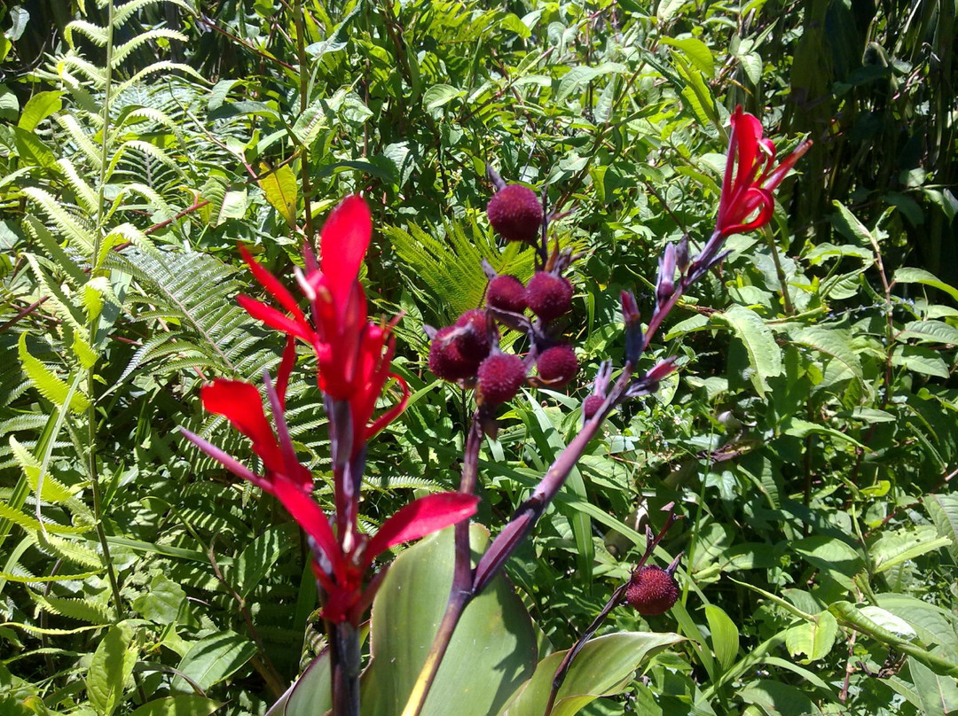 Mt Malindig-Marinduque Island必去景点