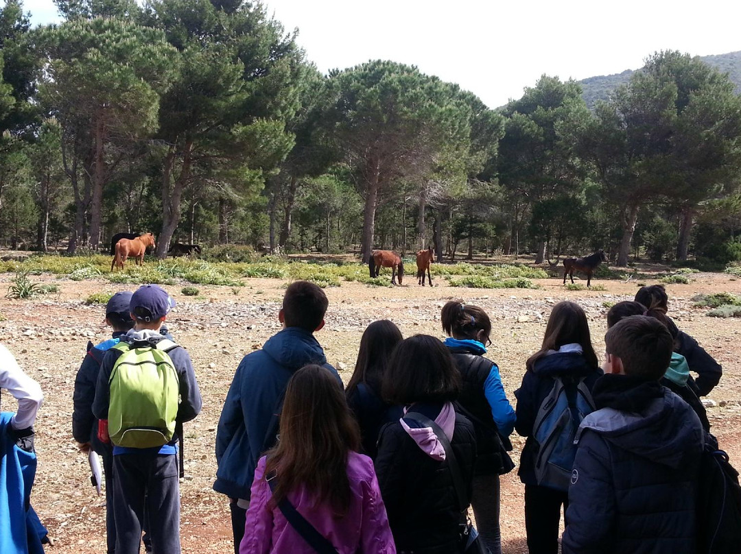 Exploralghero-阿尔盖罗必去景点