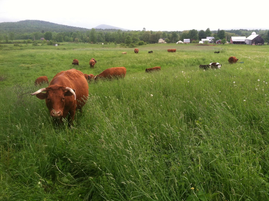 Mace Chasm Farm-Keeseville必去景点