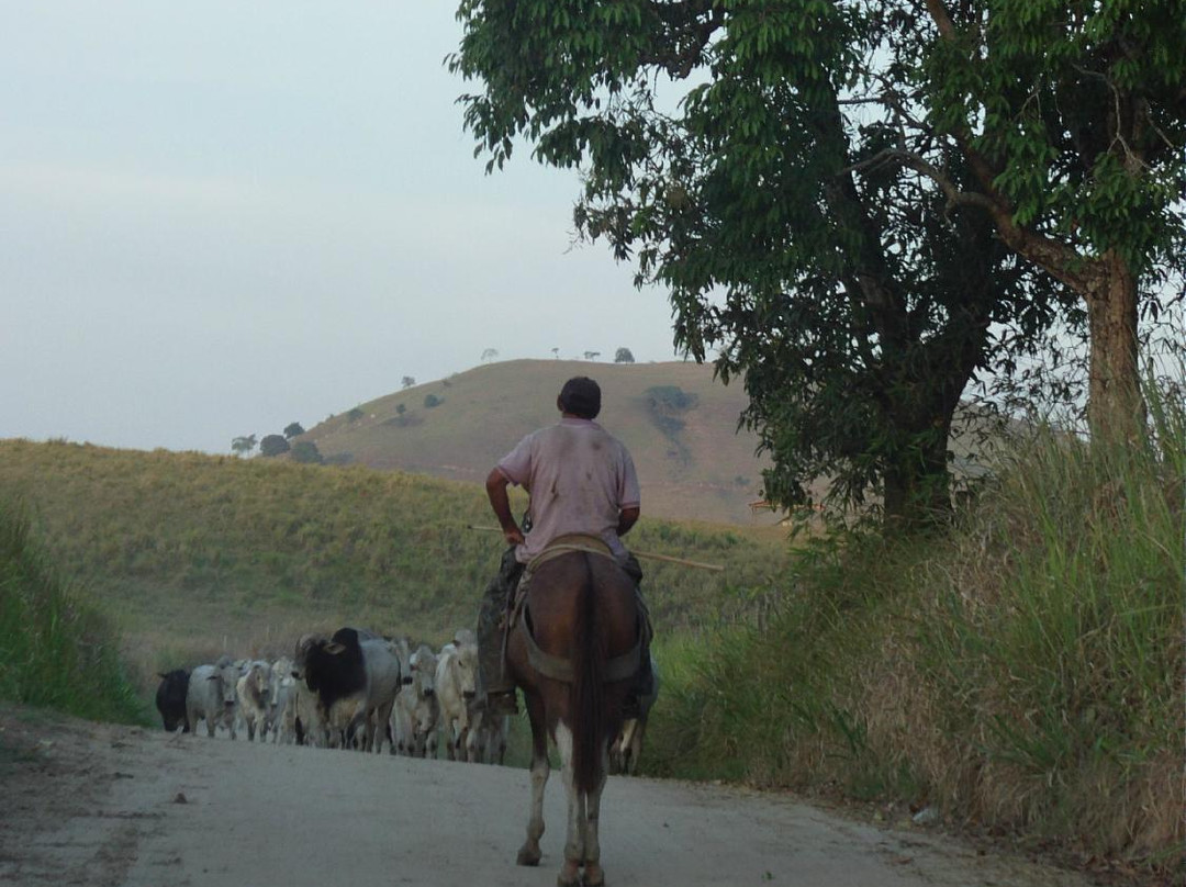 Anhumas' Farm-Uniao Dos Palmares必去景点