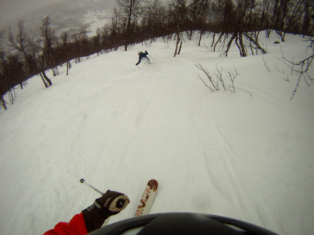 Hallingskarvet Skisenter Sudndalen-Hovet必去景点