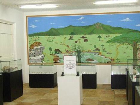 Otaviano Florentino Ritir Paleontology Museum景点图片