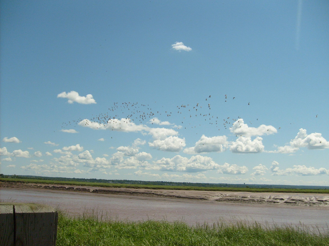 Tidal Bore-蒙古顿必去景点