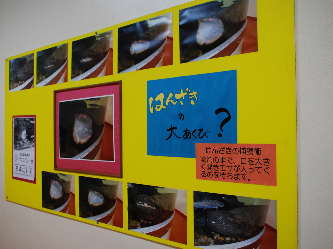 Hanzaki Center景点图片