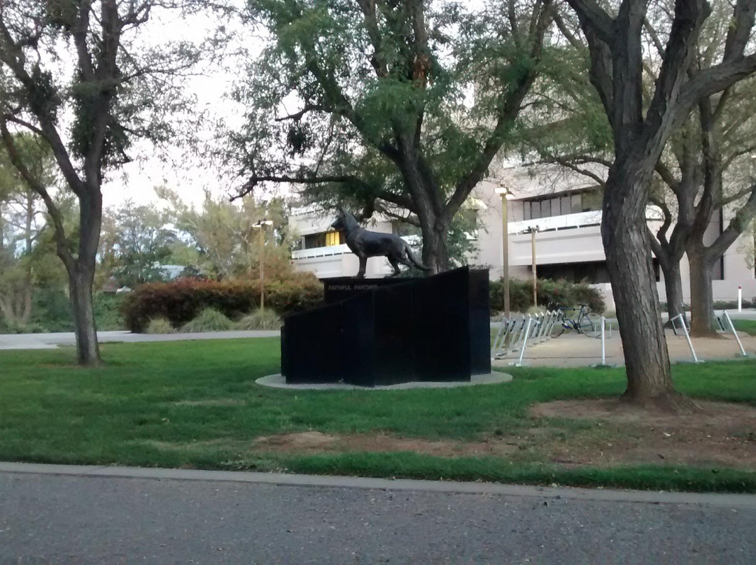 Davis Campus of the University of California景点图片