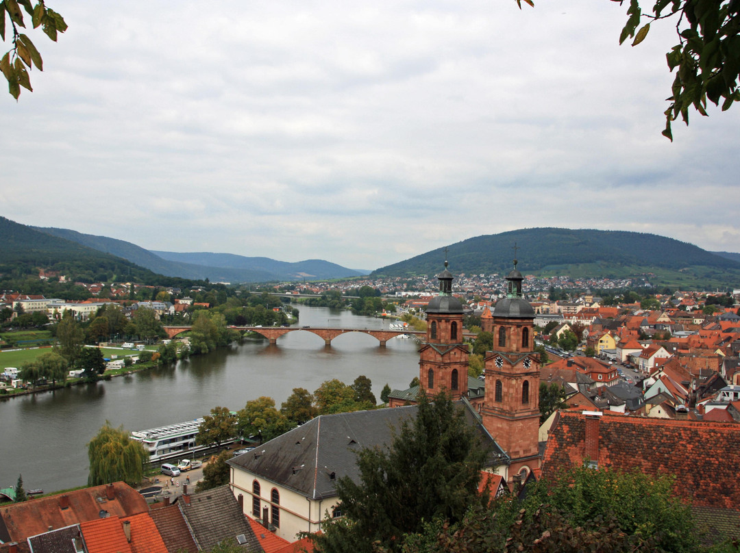 Miltenberg Castle Museum景点图片