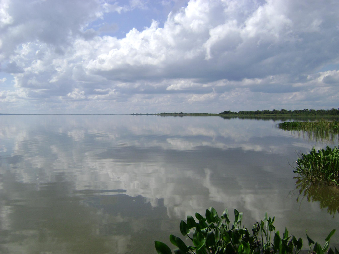 Lake Apopka景点图片