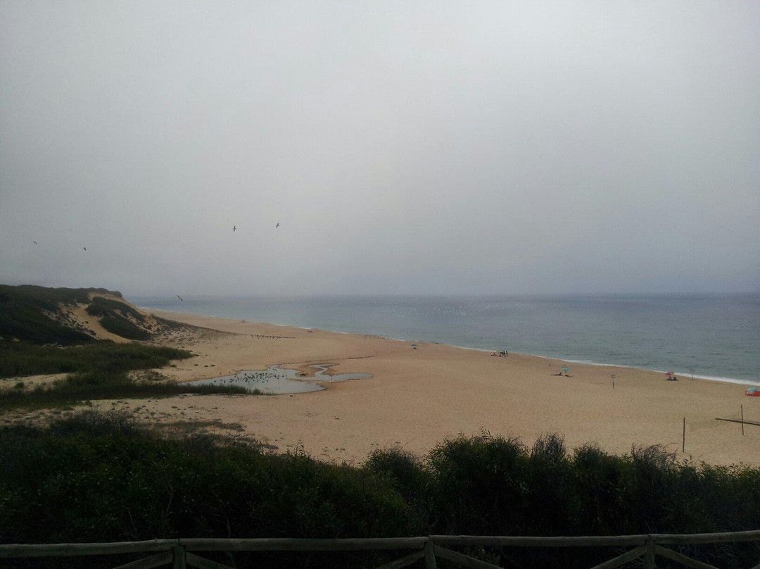 Praia da Aberta Nova景点图片
