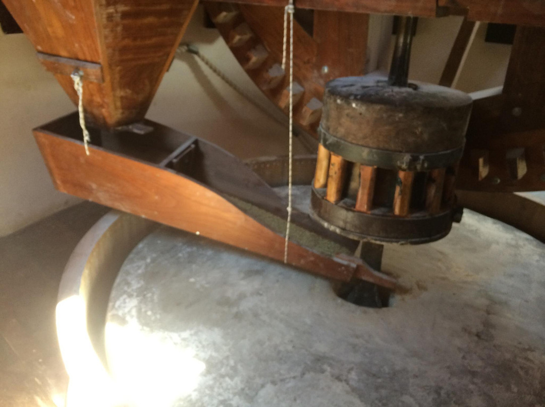 The Antimachia Windmill-Antimachia必去景点