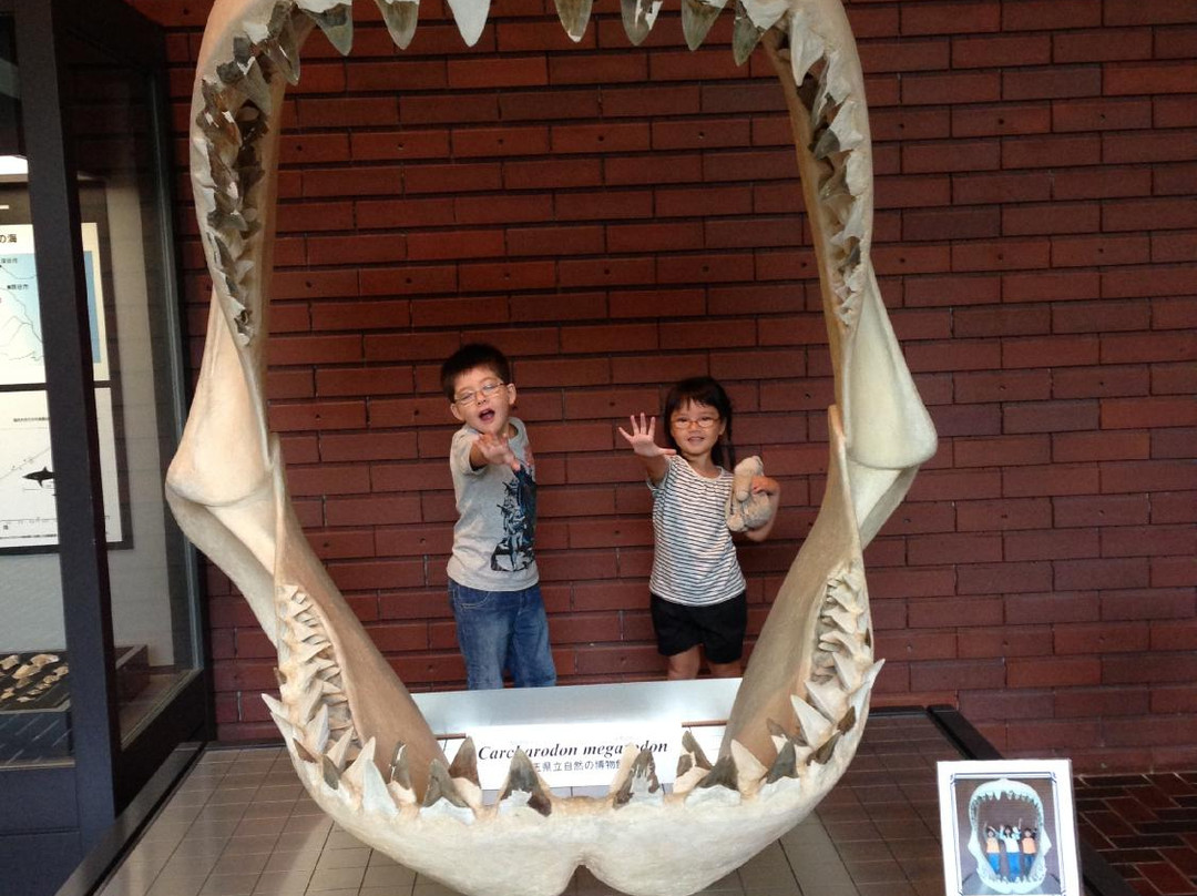 Saitama Museum of Natural History-长瀞町必去景点