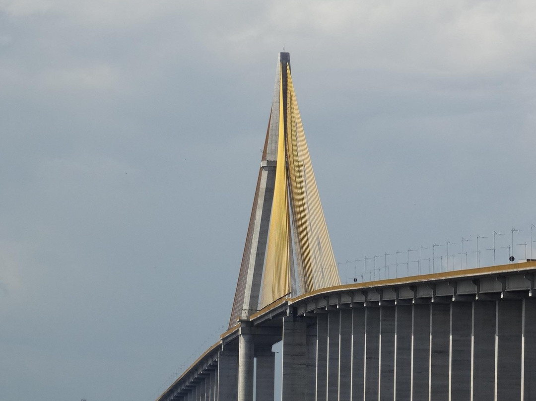 Ponte Do Rio Negro-玛瑙斯必去景点