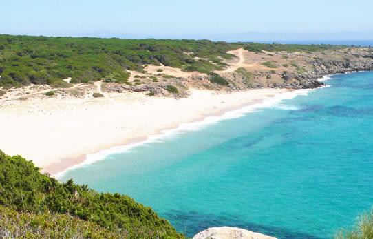 Playa Arroyo del Canuelo-Zahara de los Atunes必去景点