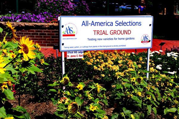 Annual Flower Trial Garden-科林斯堡必去景点