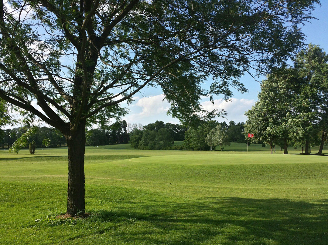 All About Golf景点图片