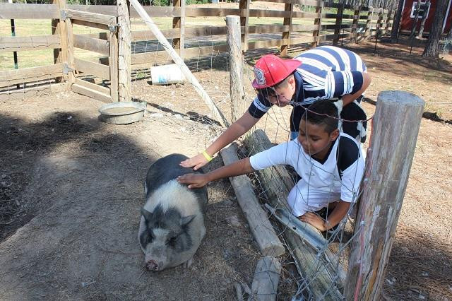 Crooked Pines Farm-Eatonton必去景点