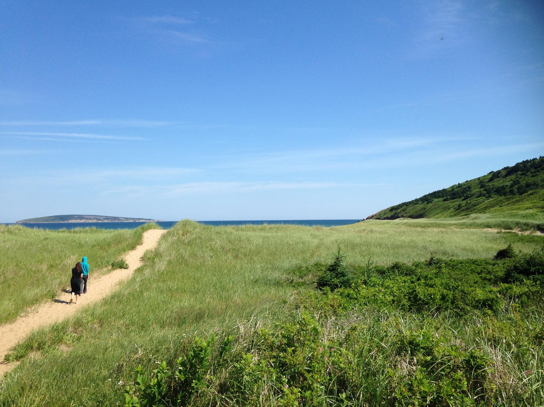 Mac Leod's Beach & Campsite