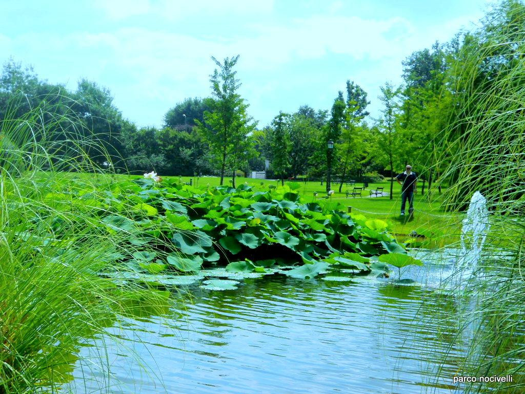 Parco Comunale Angelo e Lina Nocivelli景点图片