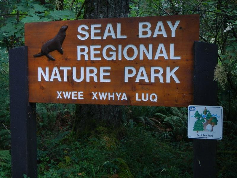 Seal Bay Nature Park景点图片