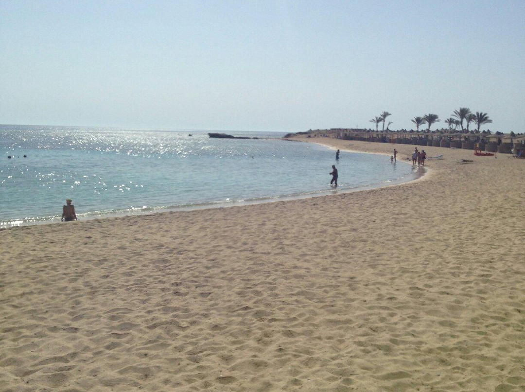 Abu Dabbab Beach-马萨阿拉姆必去景点