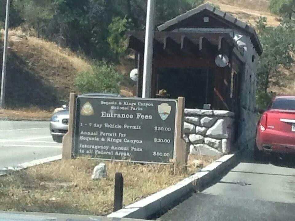 General Sherman Tree-红杉&国王峡谷国家公园必去景点