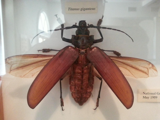 California Oil Museum-Santa Paula必去景点