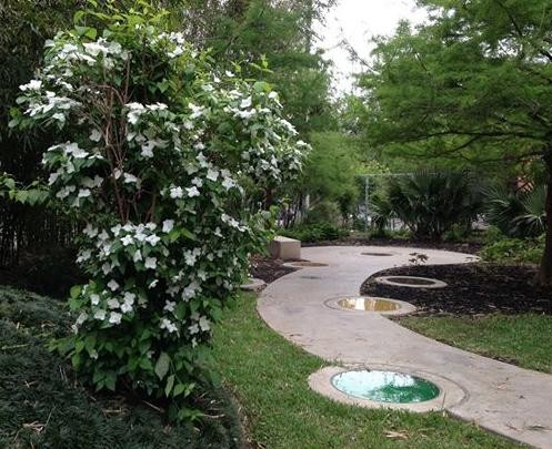 朴根佑-圣安东尼奥市必去景点