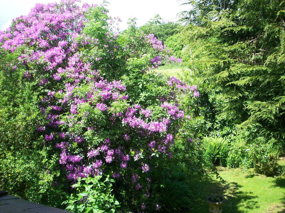 Moor View House主图