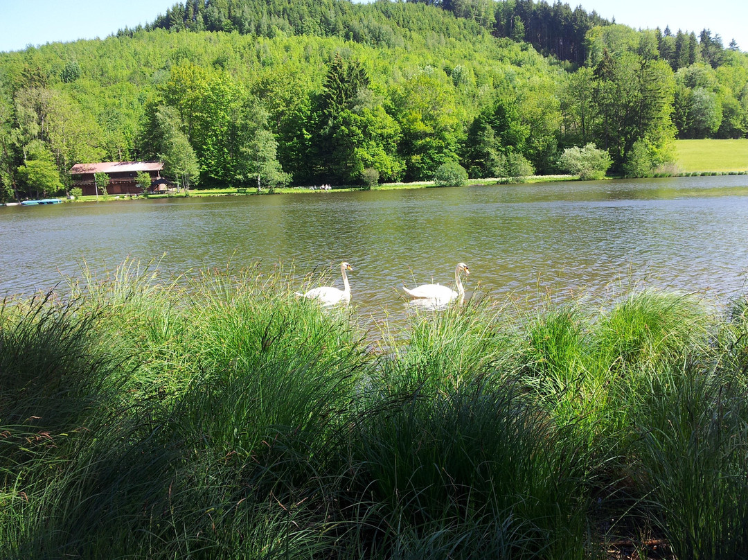 Maierhofen旅游攻略图片