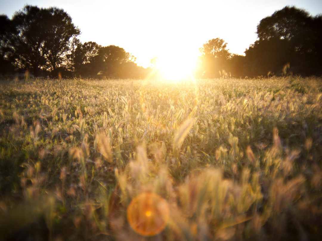阿庇亚古道公园-罗马必去景点