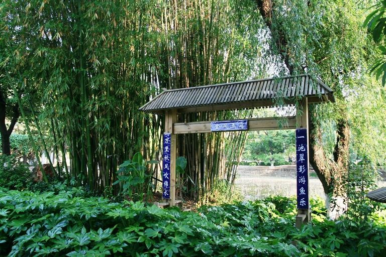 翠湖-昆明市必去景点