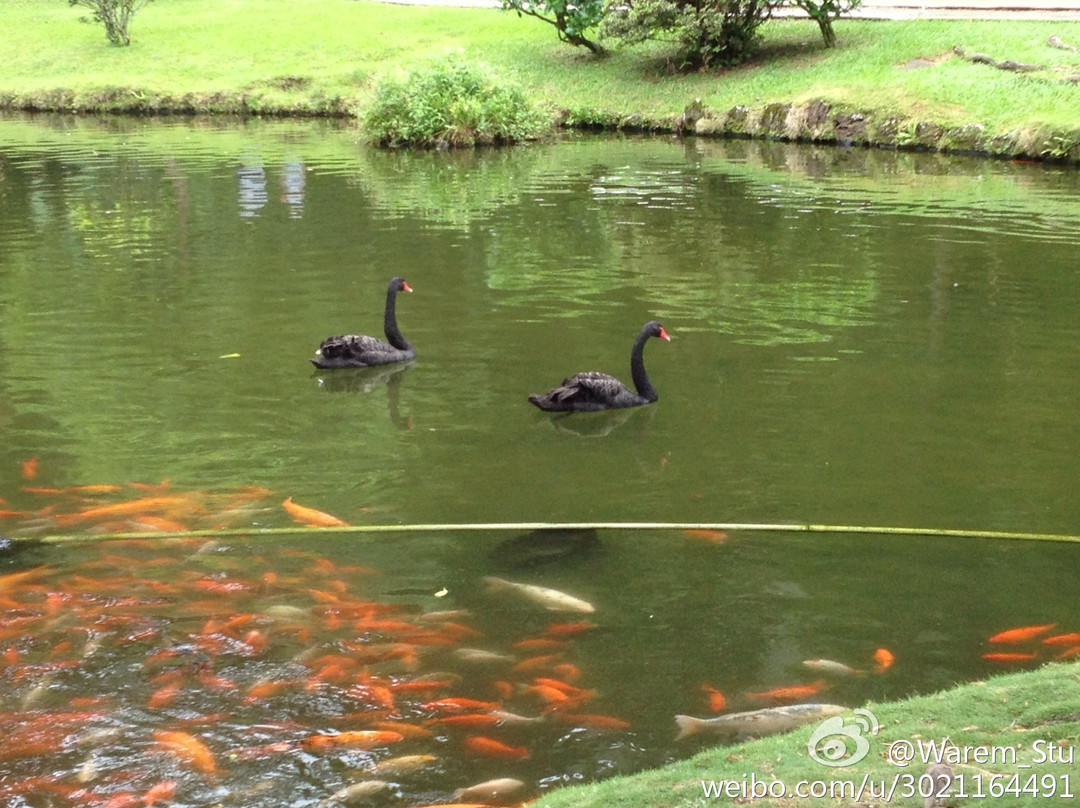 山谷神庙-卡内奥赫必去景点