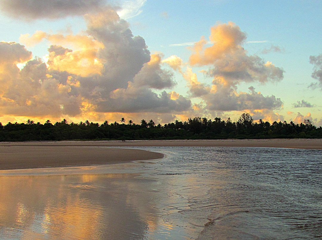 Praia De Taquari景点图片