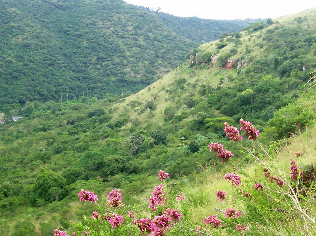 Umgeni Valley Enviromental Education Center景点图片