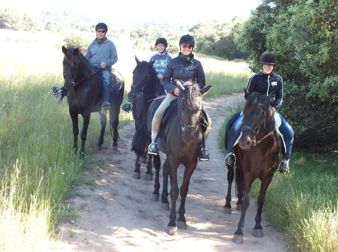 Rutas Equestres Menorca-休达德亚必去景点
