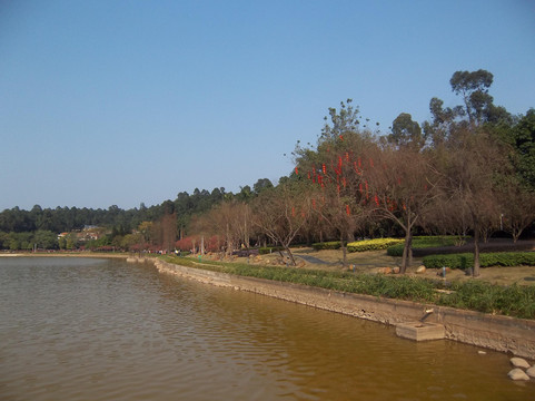 南海南国桃园-佛山市必去景点