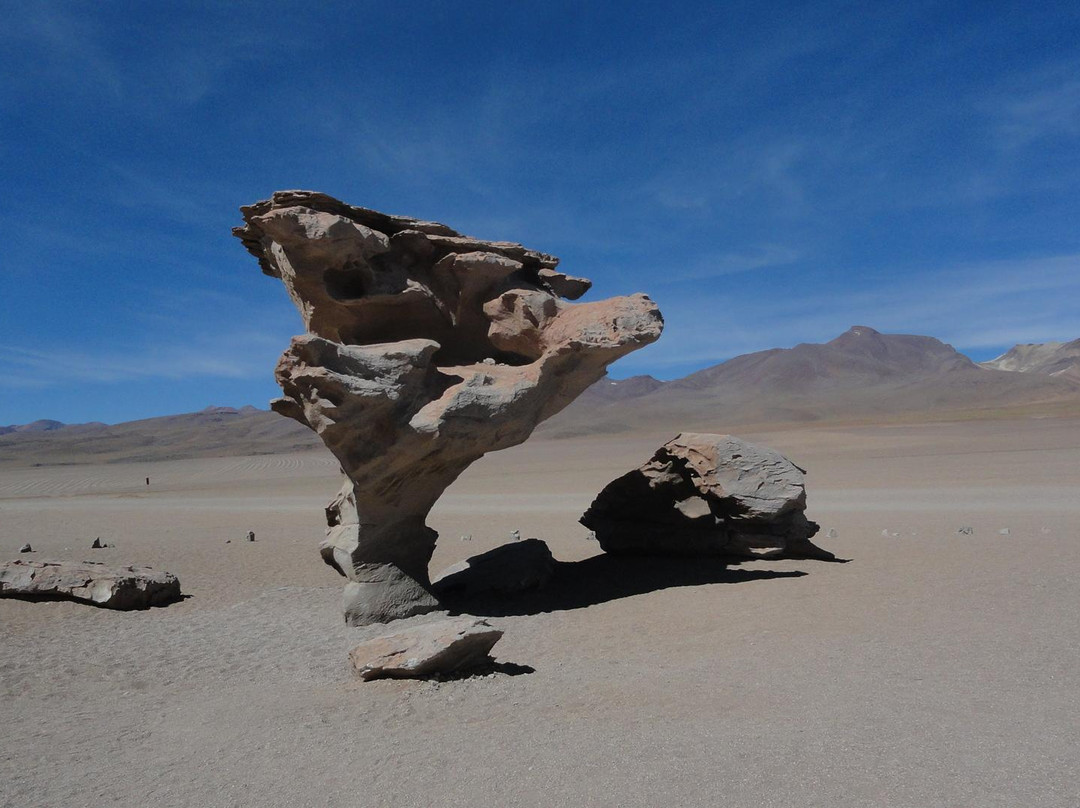 Arbol de Piedra-乌尤尼必去景点